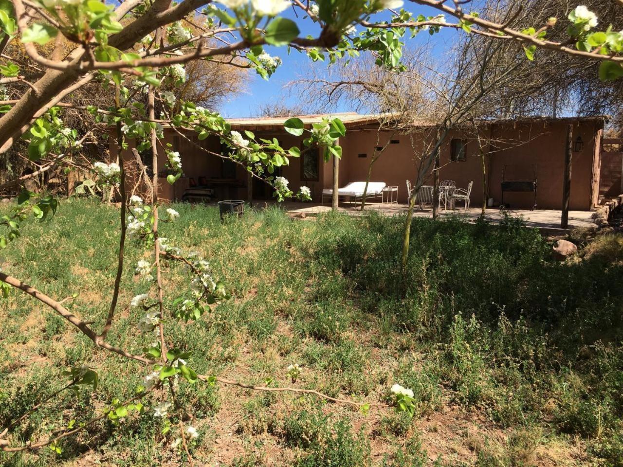 Casa Luna Pensionat San Pedro de Atacama Exteriör bild