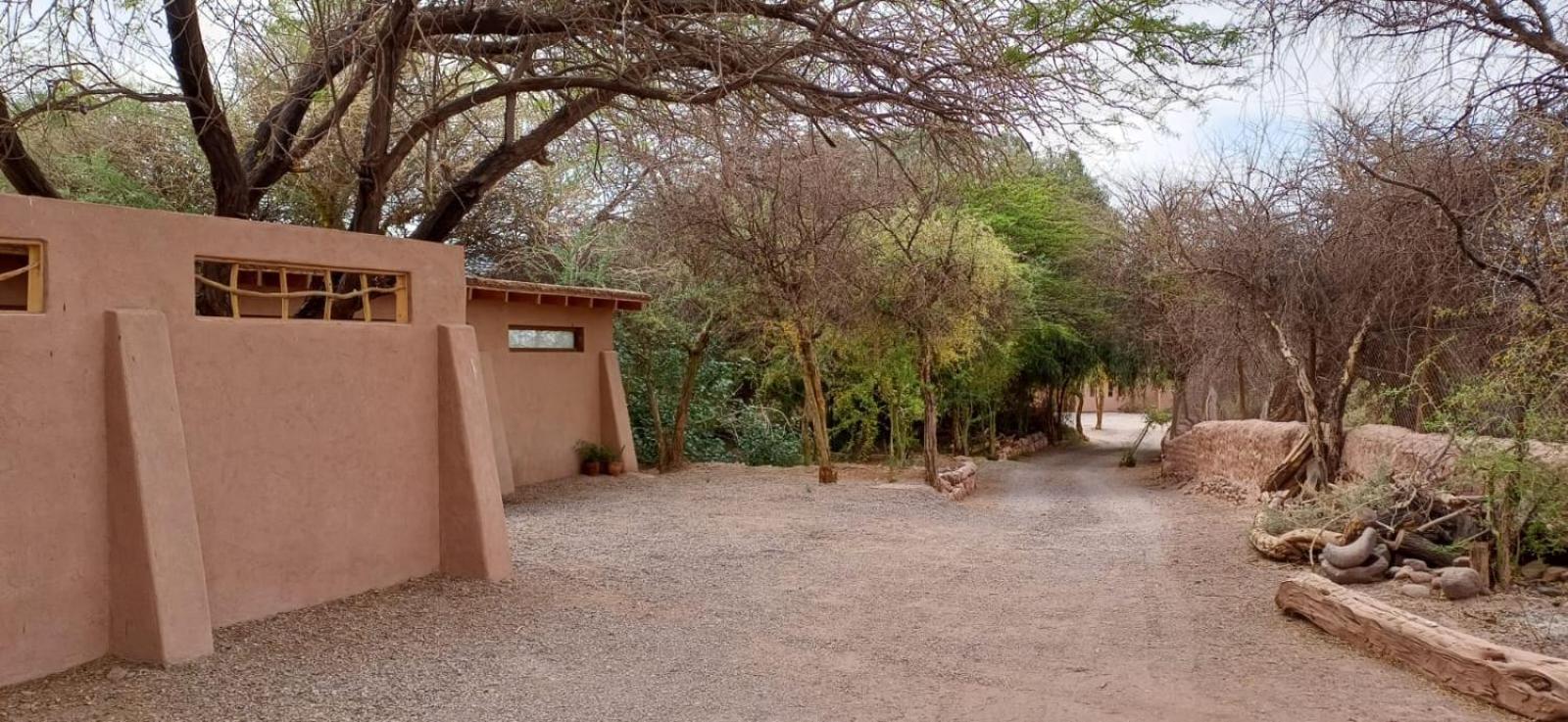 Casa Luna Pensionat San Pedro de Atacama Exteriör bild